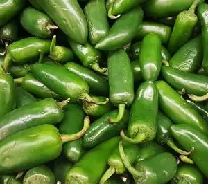 Chile jalapeño