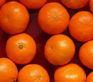 Mandarina