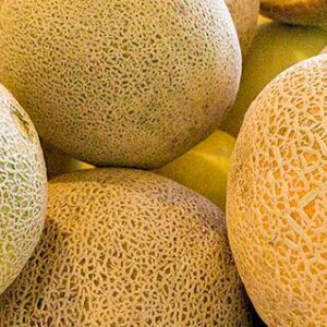Melón