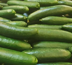 Pepino
